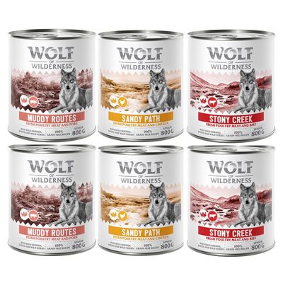 Wolf of Wilderness Expedition drób, kurczak, wieprzowina senior 800 g × 6