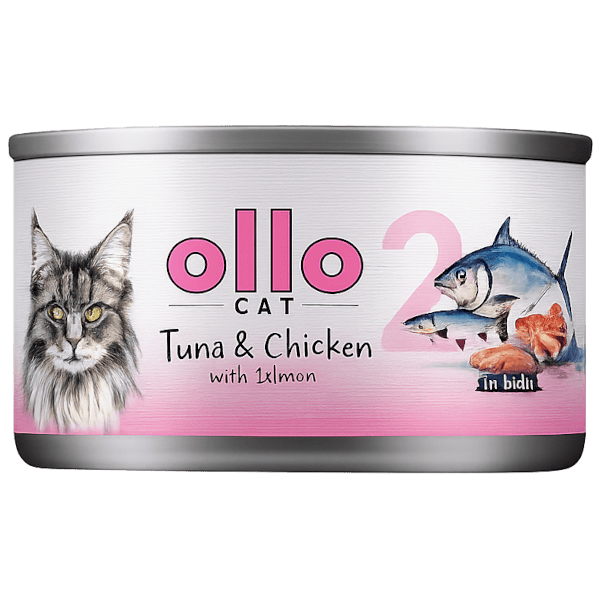 Ollo Cat kurczak, tuńczyk, łosoś w bulionie 70 g
