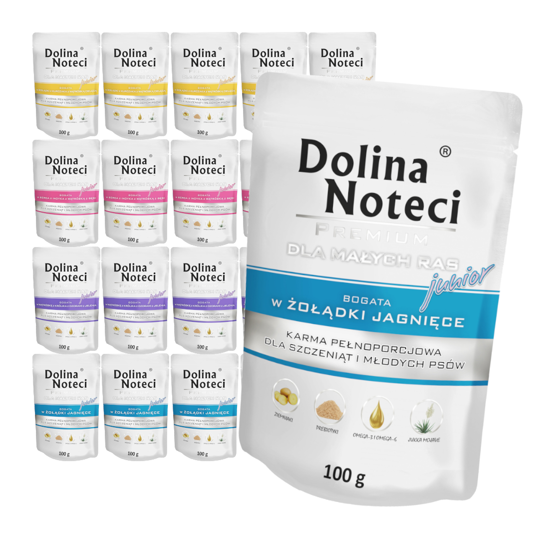 Dolina Noteci Junior indyk, jagnięcina, królik, kurczak junior małe rasy 100 g × 20