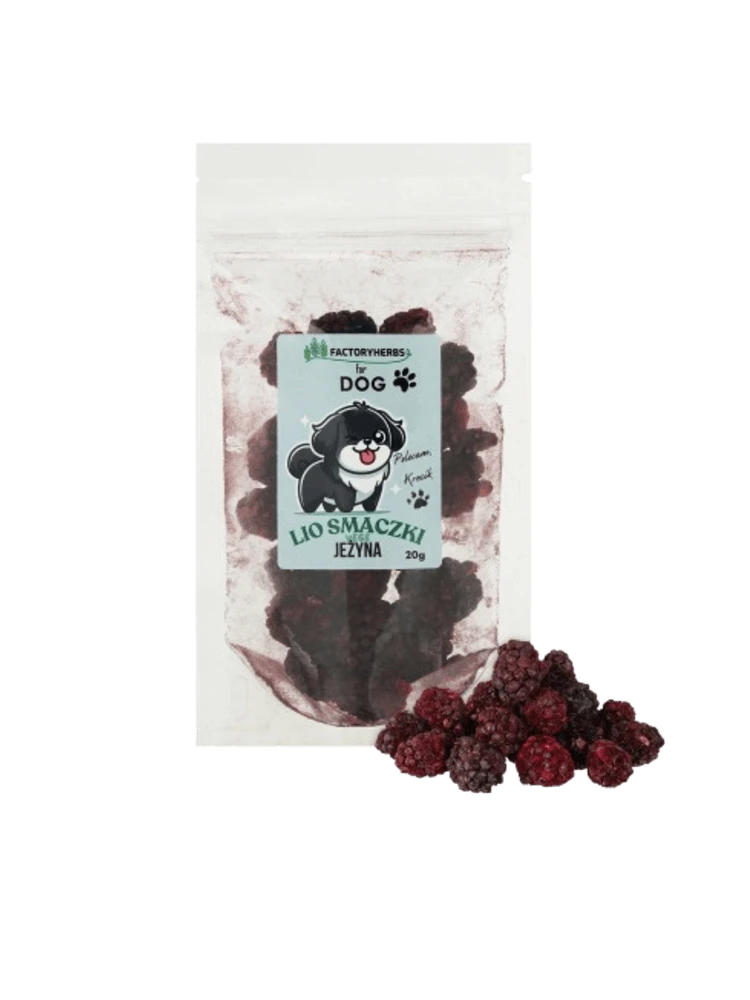 FactoryHerbs For Dog jeżyna 20 g