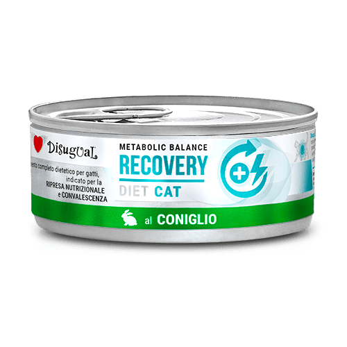 Disugual RECOVERY królik 85 g
