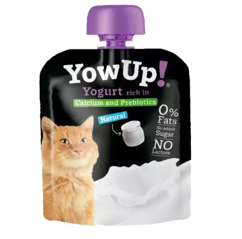 Yow Up! jogurt naturalny 85 g