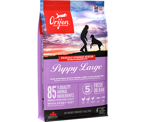 Orijen Puppy indyk, kurczak, ryba junior duże rasy 11,4 kg × 2