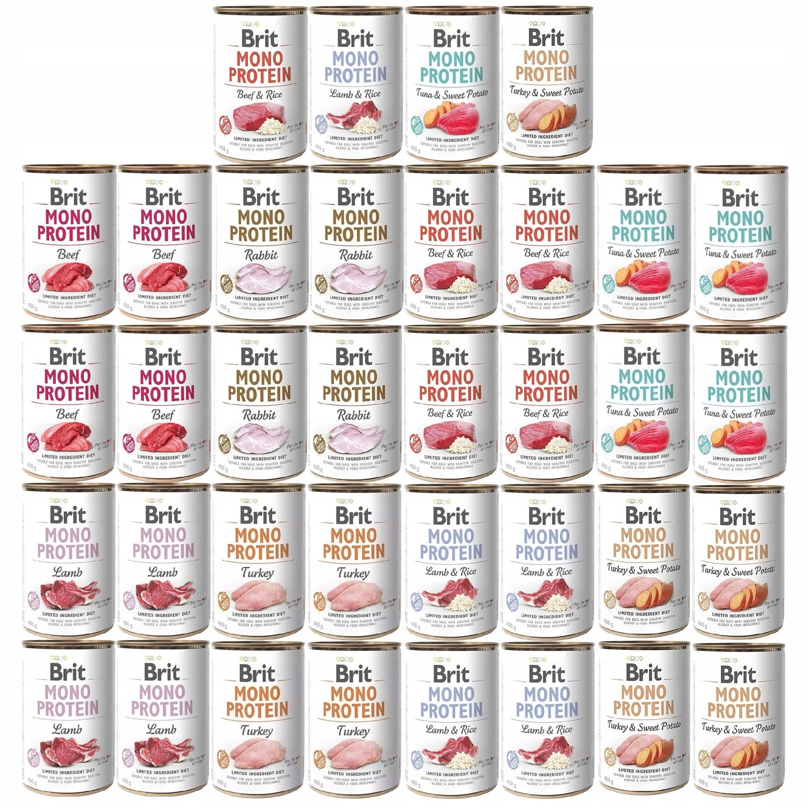 Brit Mono Protein mix smaków 400 g × 36