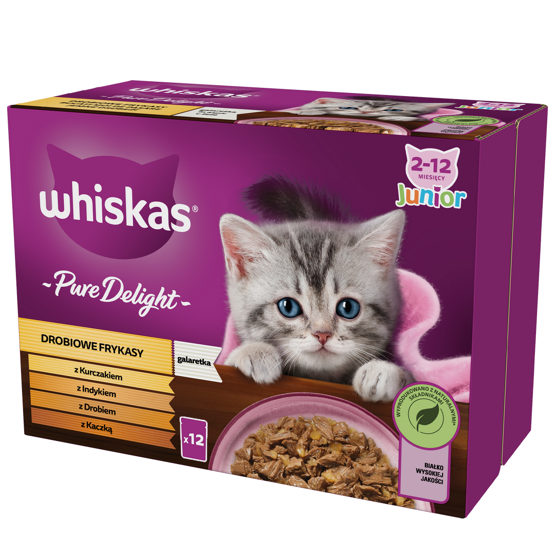 Whiskas Junior mix smaków w galaretce kitten 85 g × 12