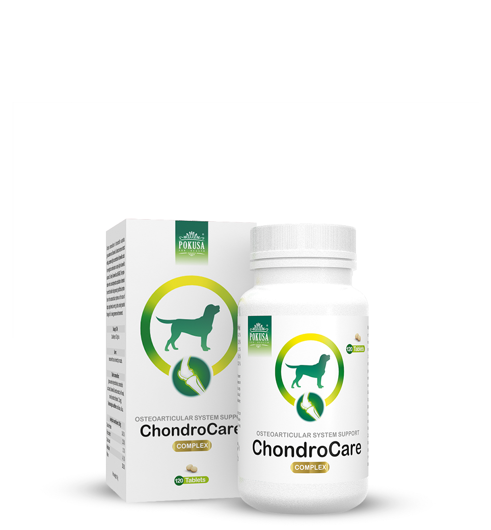 Pokusa ChondroCare adult