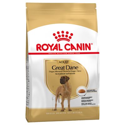 Royal Canin Great Dane adult duże rasy 12 kg × 2