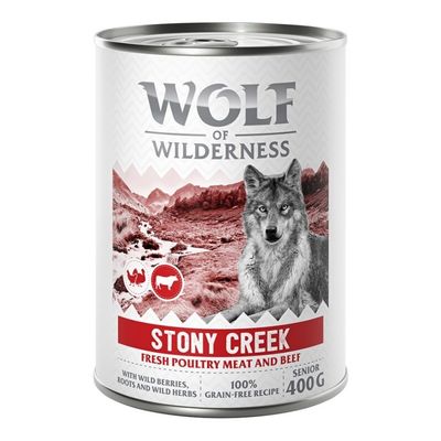 Wolf of Wilderness Expedition drób, wołowina senior 400 g × 6