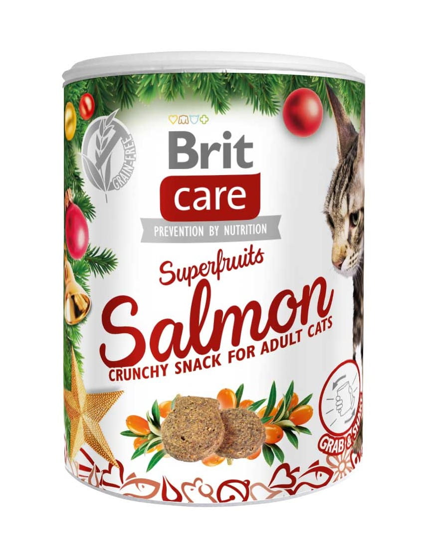 Brit Care łosoś kawałki adult 100 g