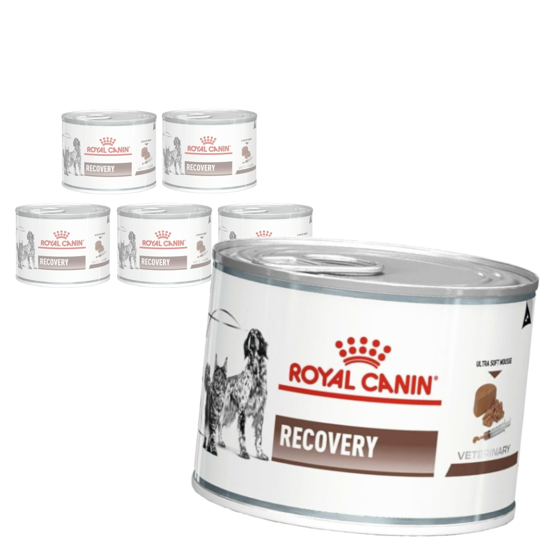 Royal Canin Veterinary VHN Recovery Mousse 195 g × 6