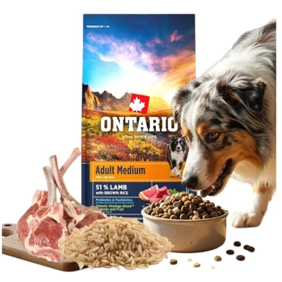Ontario jagnięcina adult średnie rasy 12 kg
