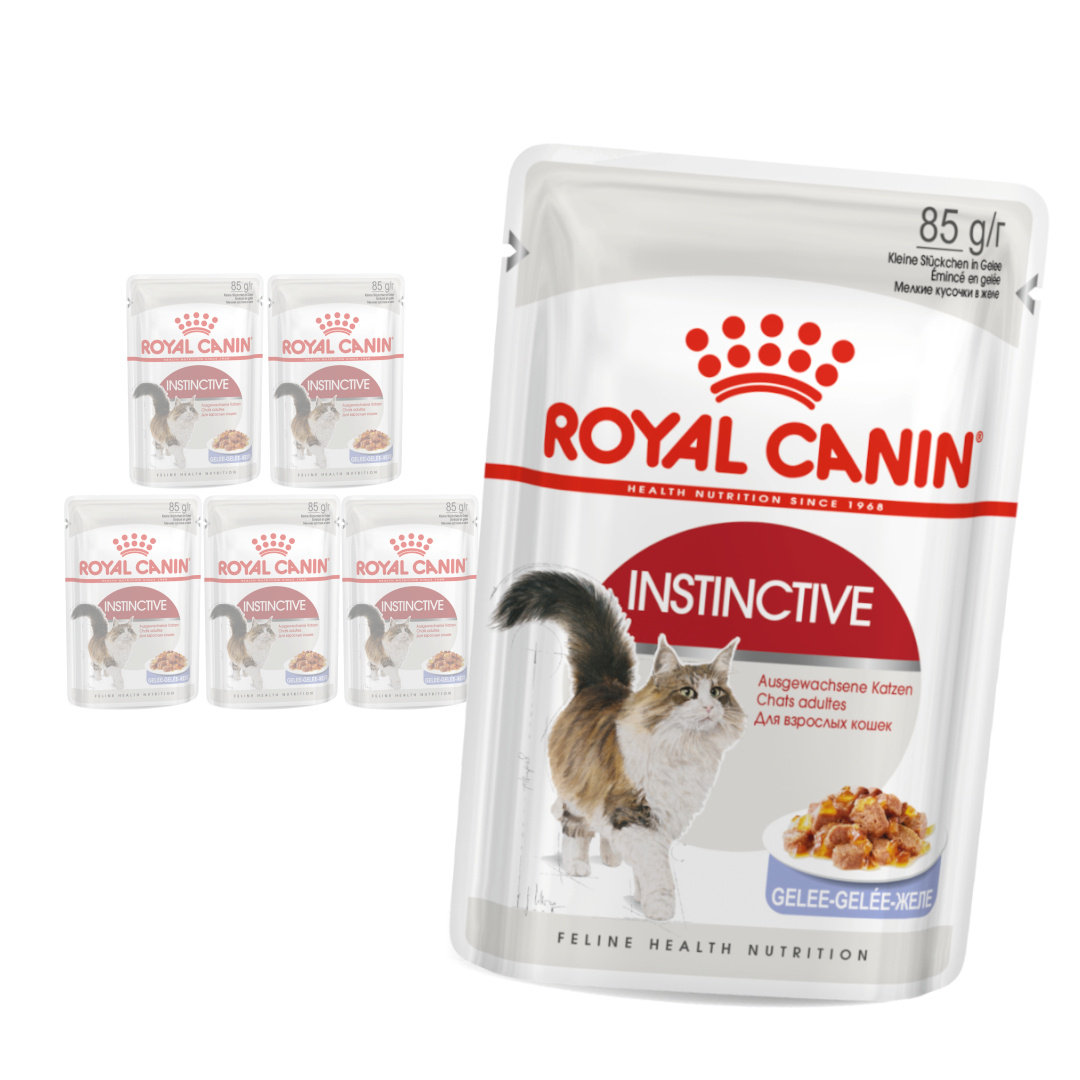 Royal Canin Instinctive w galaretce adult 85 g × 6