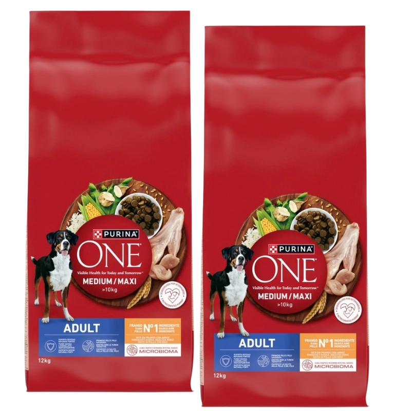 Purina ONE kurczak adult 12 kg × 2