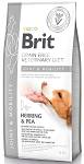 Brit Veterinary Diet Joint & Mobility śledź 12 kg