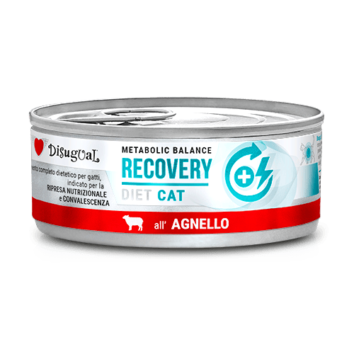 Disugual RECOVERY jagnięcina 85 g