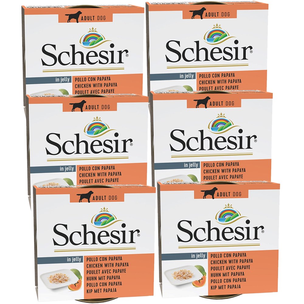 Schesir Fruit kurczak z papają adult 150 g × 6