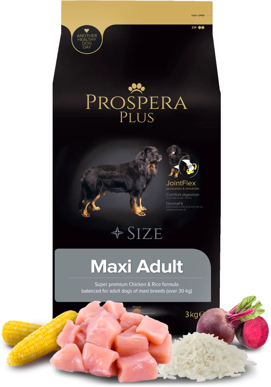 Prospera Plus Maxi kurczak z ryżem adult duże rasy 3 kg