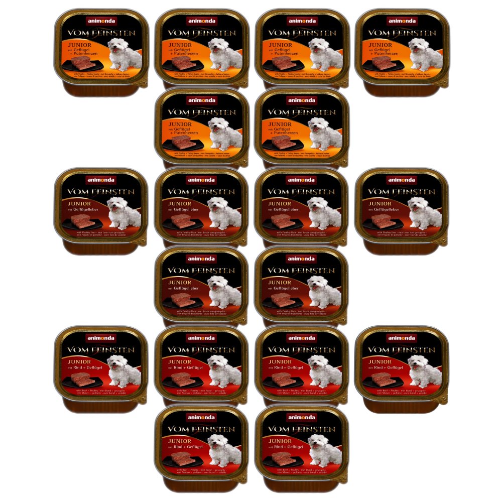 Animonda Vom Feinsten drób, indyk, wołowina junior 150 g × 18