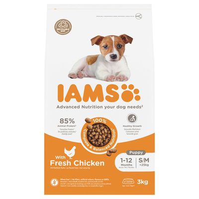 IAMS Advanced Nutrition kurczak puppy małe rasy, średnie rasy 3 kg