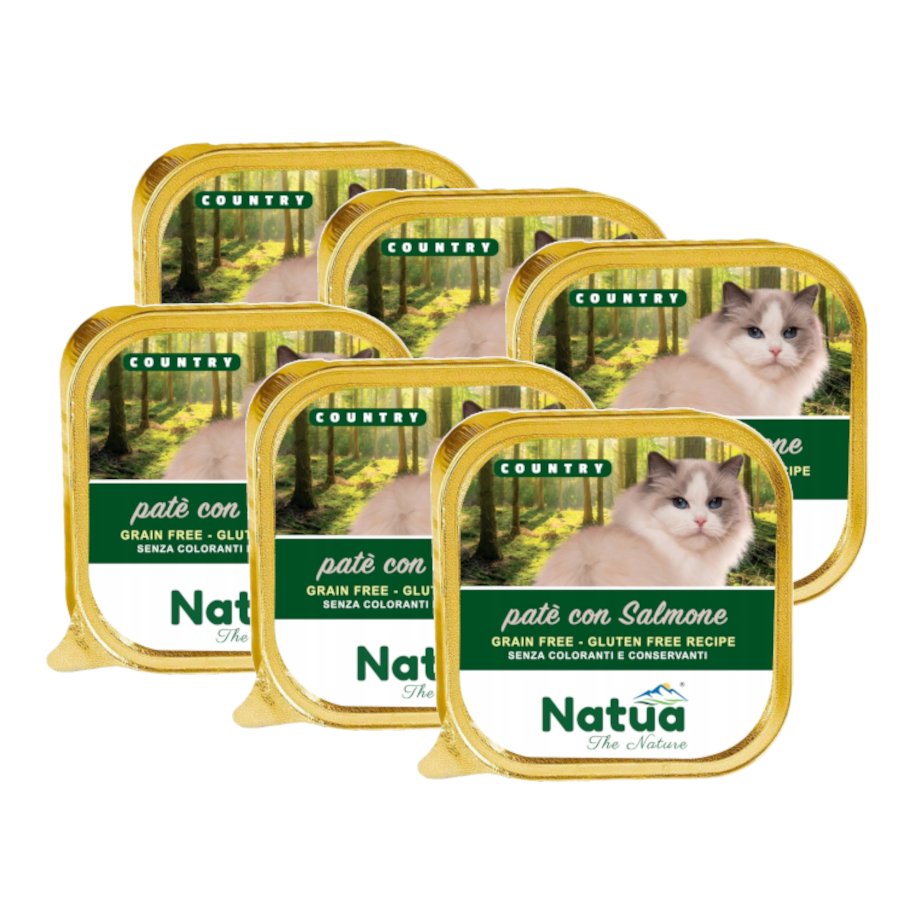 Natua Country łosoś pasztet 100 g × 6