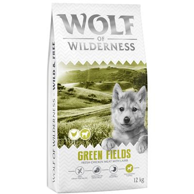 Wolf of Wilderness Green Fields jagnięcina junior 12 kg × 2