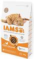 IAMS kurczak adult 3 kg