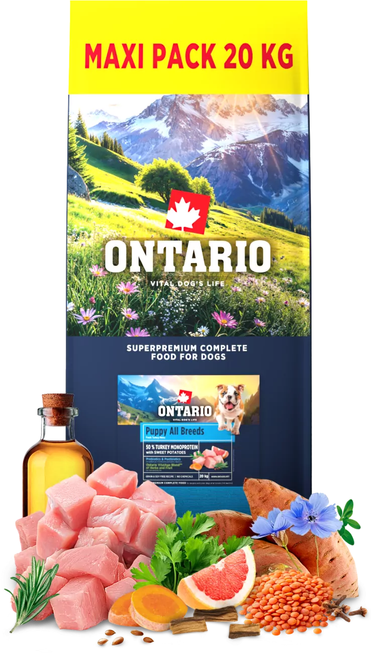 Ontario indyk z batatem junior 20 kg