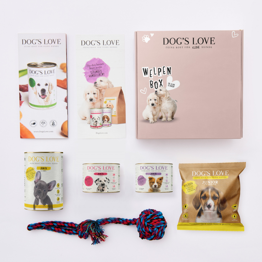 Dog's Love Box wołowina junior
