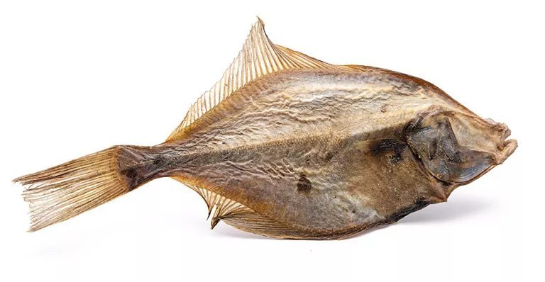Dogy flądra