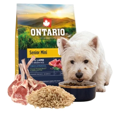 Ontario jagnięcina senior małe rasy 6,5 kg
