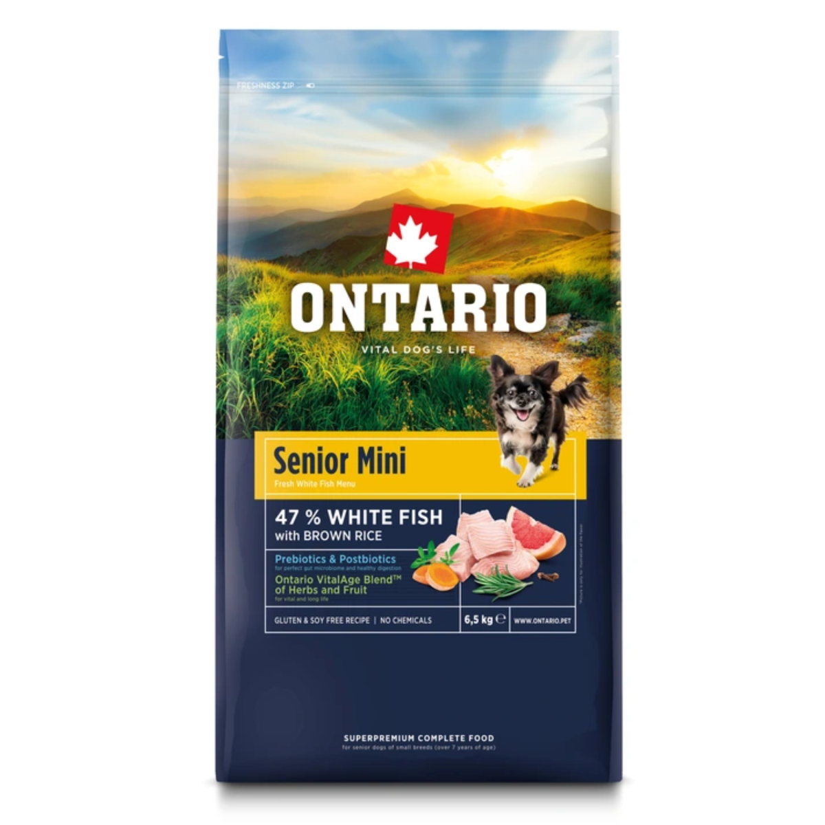 Ontario biała ryba senior małe rasy 6,5 kg