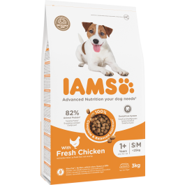 IAMS ProActive Health kurczak adult 3 kg