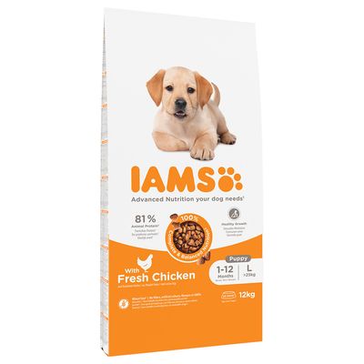 IAMS Advanced Nutrition kurczak junior duże rasy 12 kg