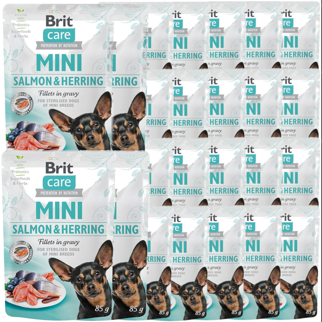 Brit Care łosoś, śledź adult małe rasy 85 g × 12