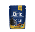 Brit indyk, kurczak kawałki 100 g × 12