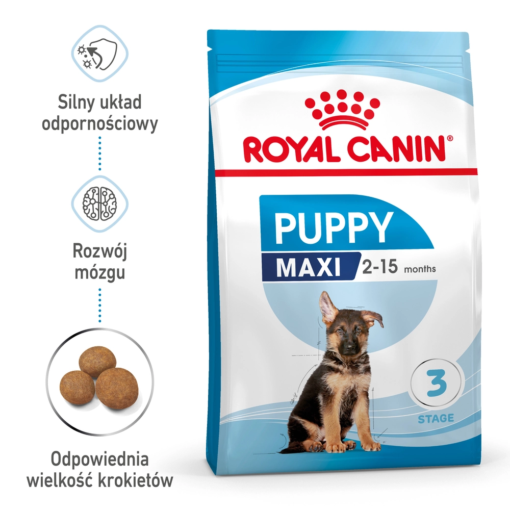 Royal Canin Maxi puppy duże rasy 4 kg