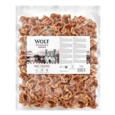 Wolf of Wilderness Vast Pasture wieprzowina 5 kg