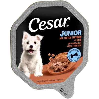 Cesar cielęcina, indyk junior 150 g × 28