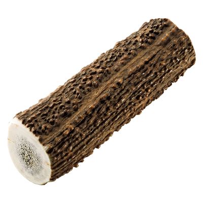 Chewies jeleń