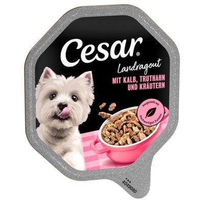 Cesar Landragout cielęcina, indyk adult 150 g × 28