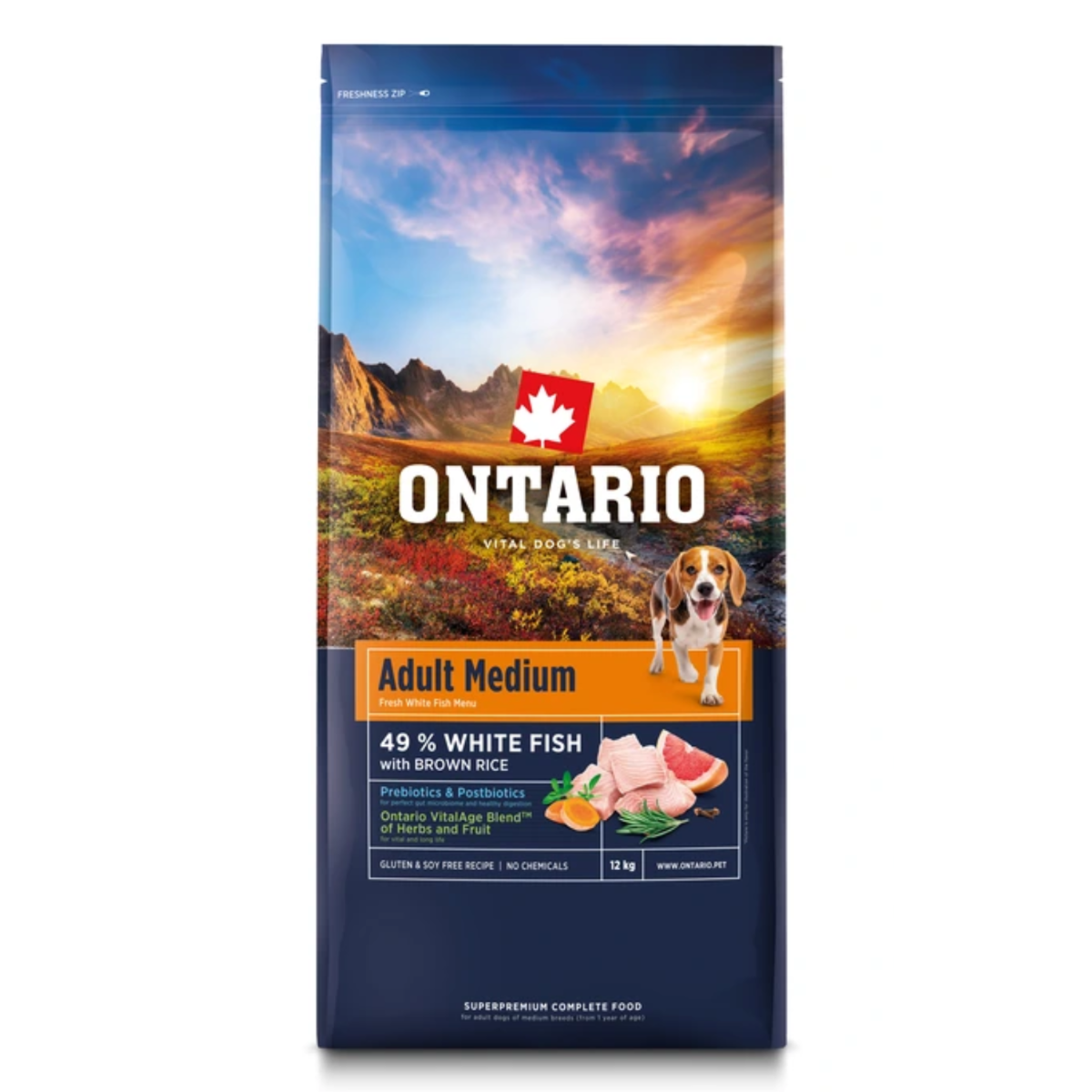 Ontario Adult Medium ryba, brązowy ryż adult średnie rasy 12 kg