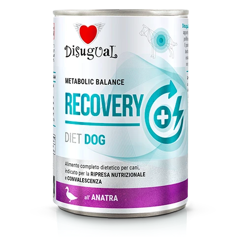 Disugual Recovery kaczka 400 g