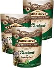Carnilove bażant adult 300 g × 12
