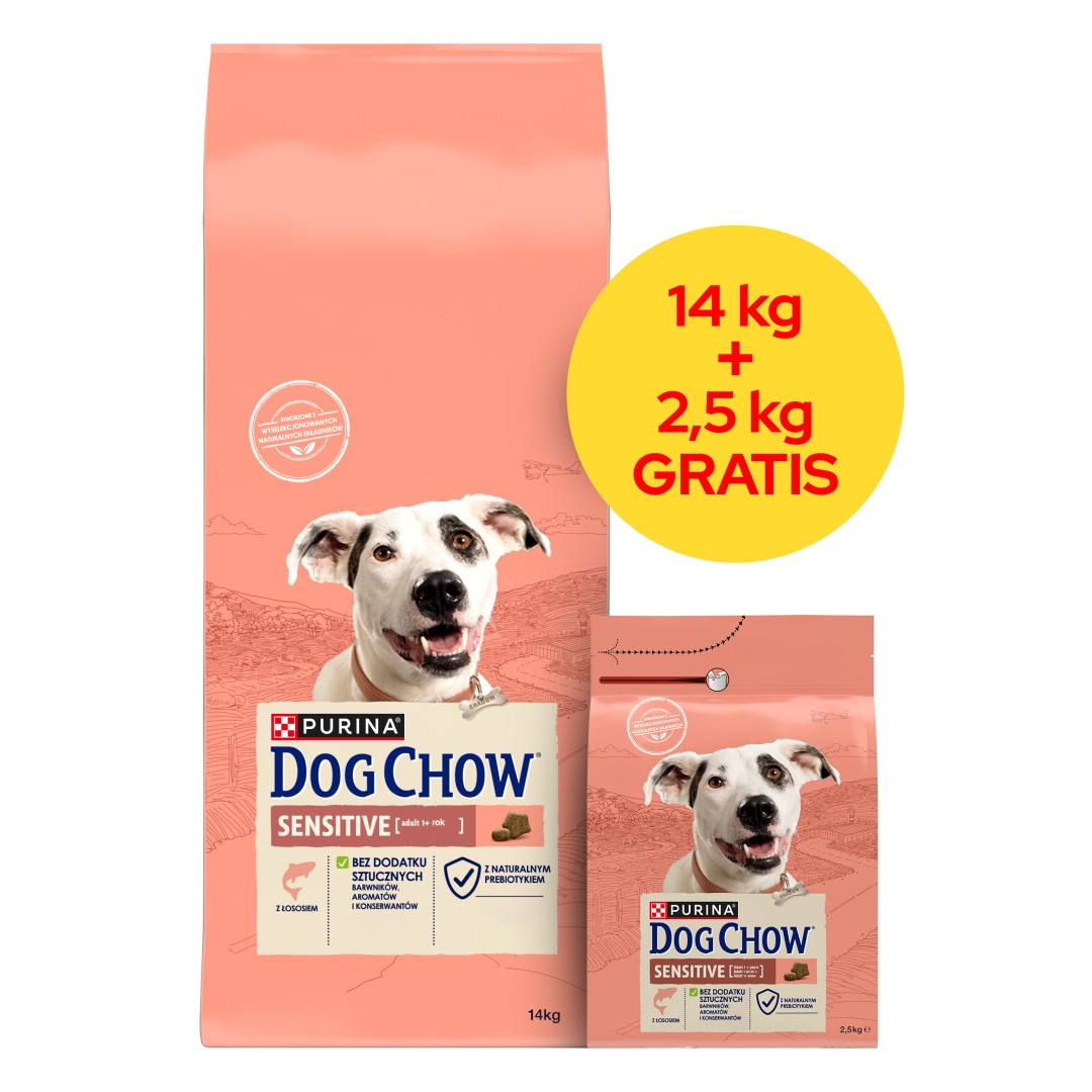 Purina Dog Chow Adult Sensitive łosoś 16,5 kg