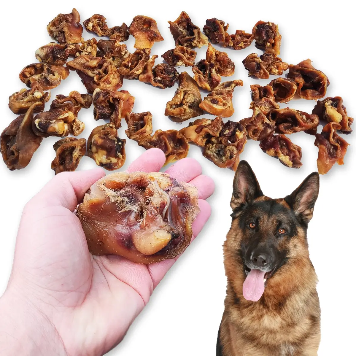 ZooPoint Snacks wieprzowina 1 kg