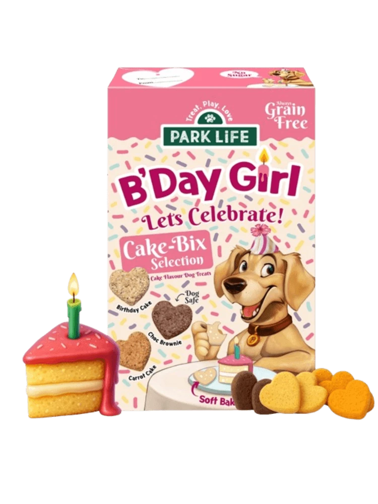 Park Life Cake-Bix 240 g