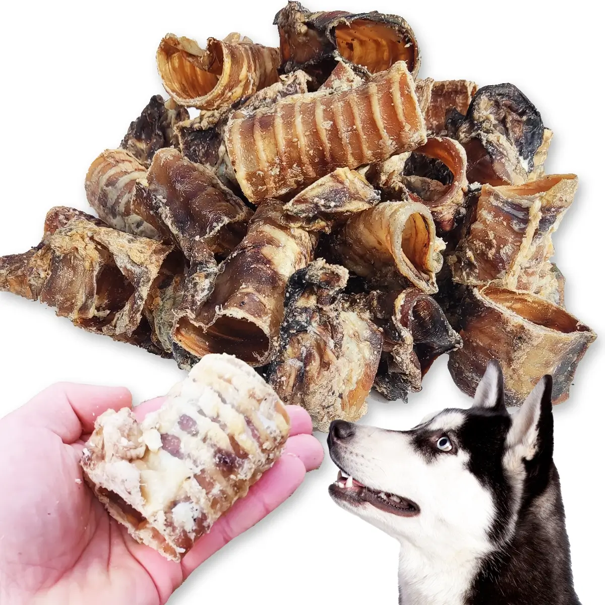 ZooPoint Snacks tchawica wołowa 1 kg