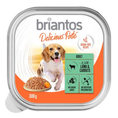 Briantos Delicious Paté kurczak adult 300 g × 9