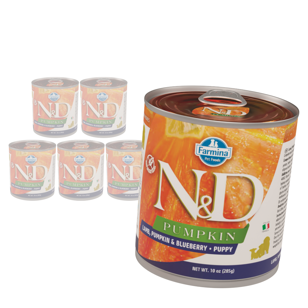 Farmina N&D Pumpkin jagnięcina z dynią i borówką junior 285 g × 6