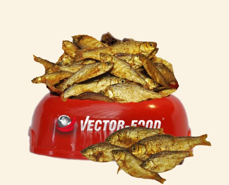 Vector-Food York sardynka małe rasy 50 g